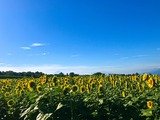IMG_0266-1