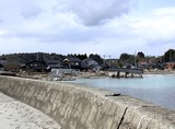IMG_2508-1