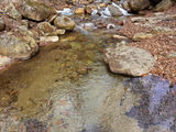IMG_3933-1