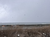 IMG_3625