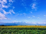 IMG_6130