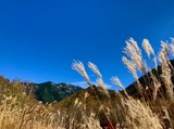 IMG_1322