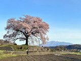 IMG_8099-2