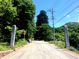 01