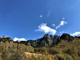 IMG_9469 (2)