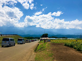 IMG_8748-1