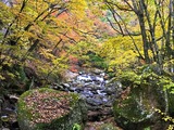 IMG_5386-1