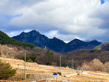 IMG_3976-1