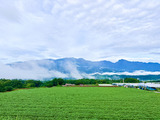 IMG_8472-1