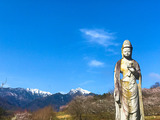 IMG_7990-1
