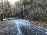 IMG_4549