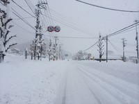 260215 065