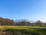 IMG_8061-1