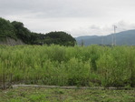 2500907 010
