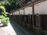 IMG_4685
