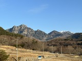 IMG_4950