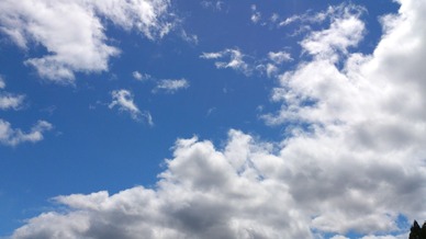 2012ǯ06·î23Æü_0044