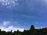 IMG_2833