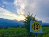 IMG_5487
