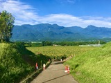 IMG_1180