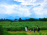 IMG_5600-1-1