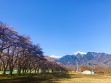 IMG_7941-1