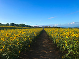 IMG_9998-2