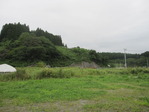 2500907 004