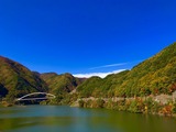 IMG_1381