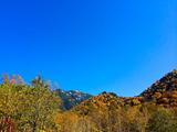 IMG_1427-1