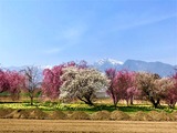 IMG_E0825