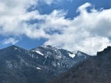 IMG_3695 (2)