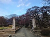 IMG_3548 (2)
