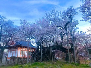 IMG_E3737-1 (2)