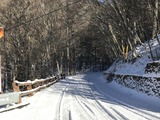 IMG_6509