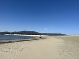 IMG_6919