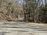IMG_7162