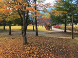 IMG_5510-1