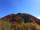 IMG_1430_1