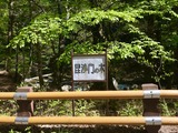 IMG_E2977