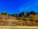 IMG_1347