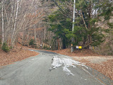 IMG_3943-1