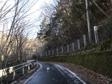IMG_4546