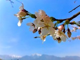 IMG_E0838