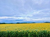 IMG_5045