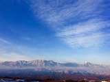 IMG_6477