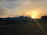 IMG_3568 (2)