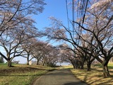IMG_8045_1