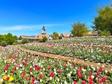 IMG_9761
