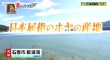 wmv_002960123